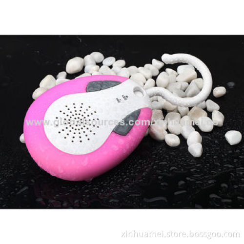 Mini Bluetooth Speaker with Shower Radio